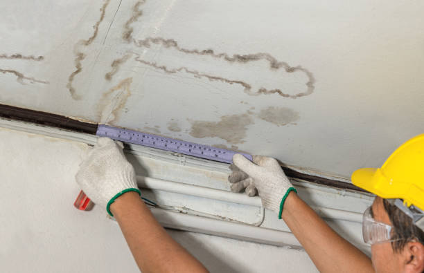 Reliable Water Damage Repair contractor in Blackwood, NJ by Hirex Water Damage